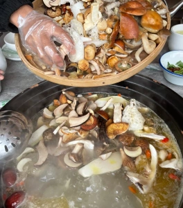 Yunnan wild mushroom hot pot near Dianchi Lake