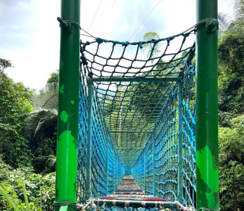 雨林拓展的繩索挑戰設施