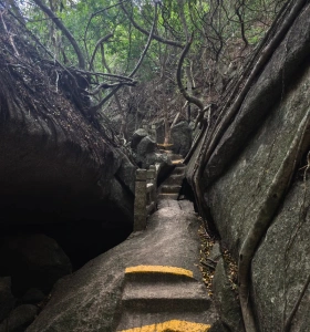 Eco adventure trail through dense tropical forest