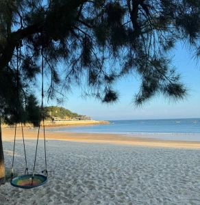 탄난만의 고운 모래사장과 그네