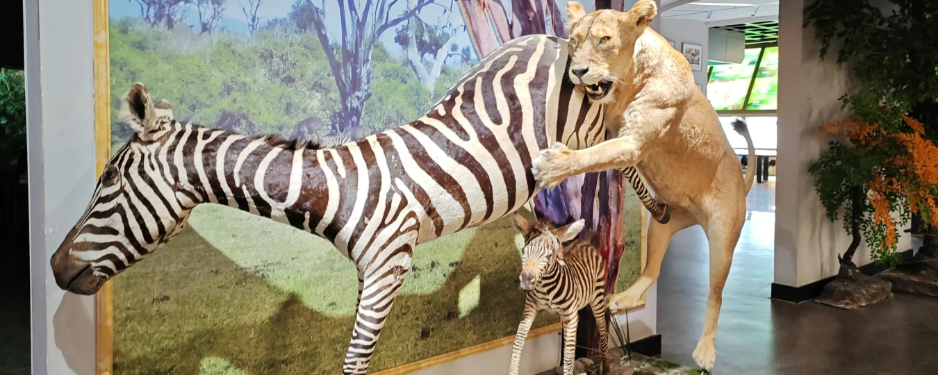Kunming Natural History Museum of Zoology