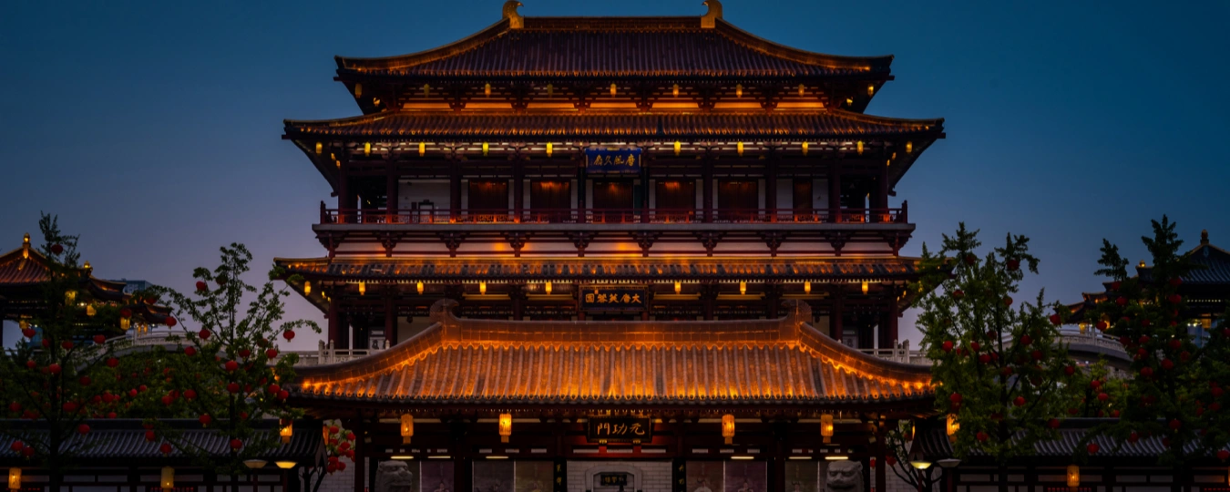 Tang Paradise