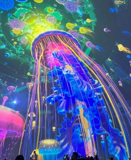 8. tour_神游海洋世界