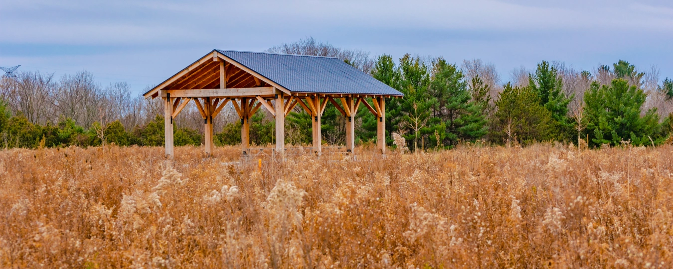 Парк водно-болотных угодий Дунтань