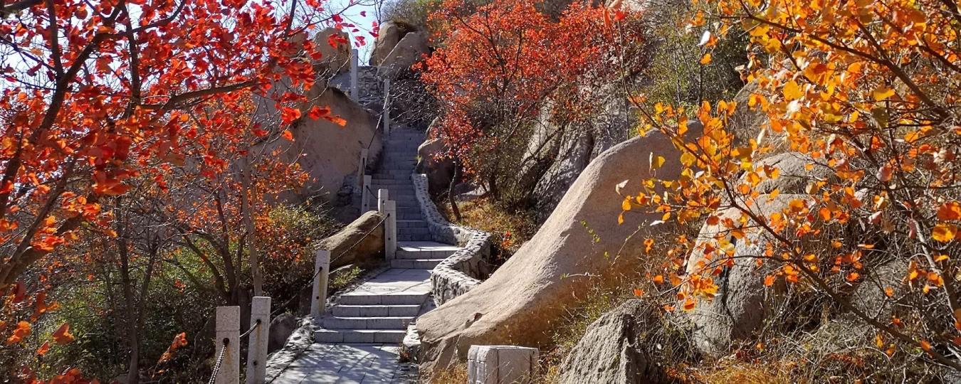 Phoenix Ridge Scenic Area