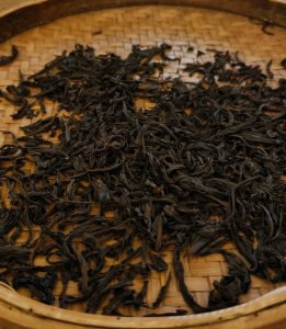 武夷山國家公園岩茶品茶體驗