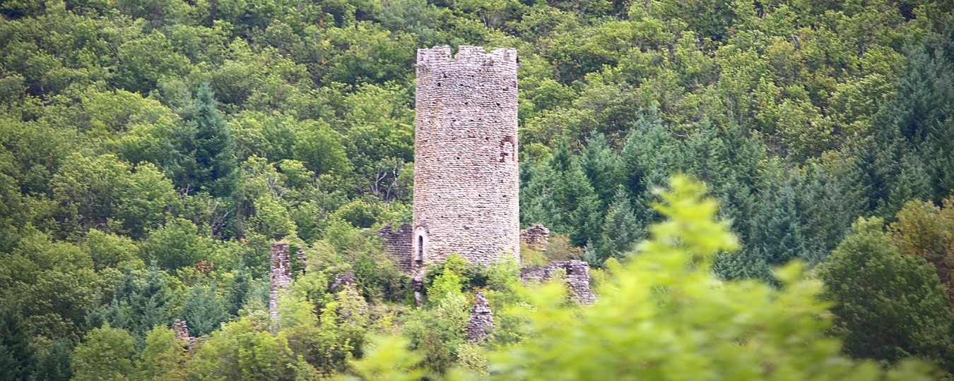 老山國家森林公園
