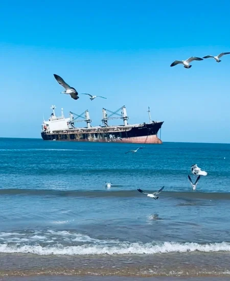 9. tour_布鲁威斯号搁浅巨轮