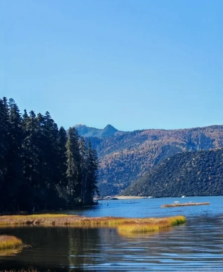 9. tour_普达措国家公园