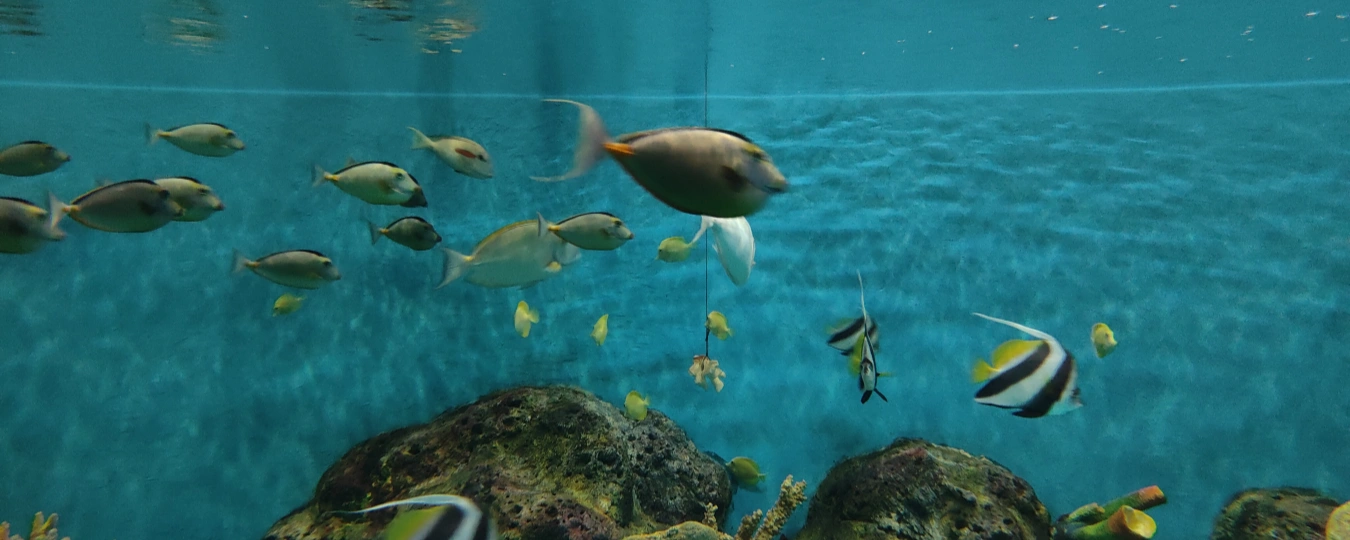Xiamen Underwater World