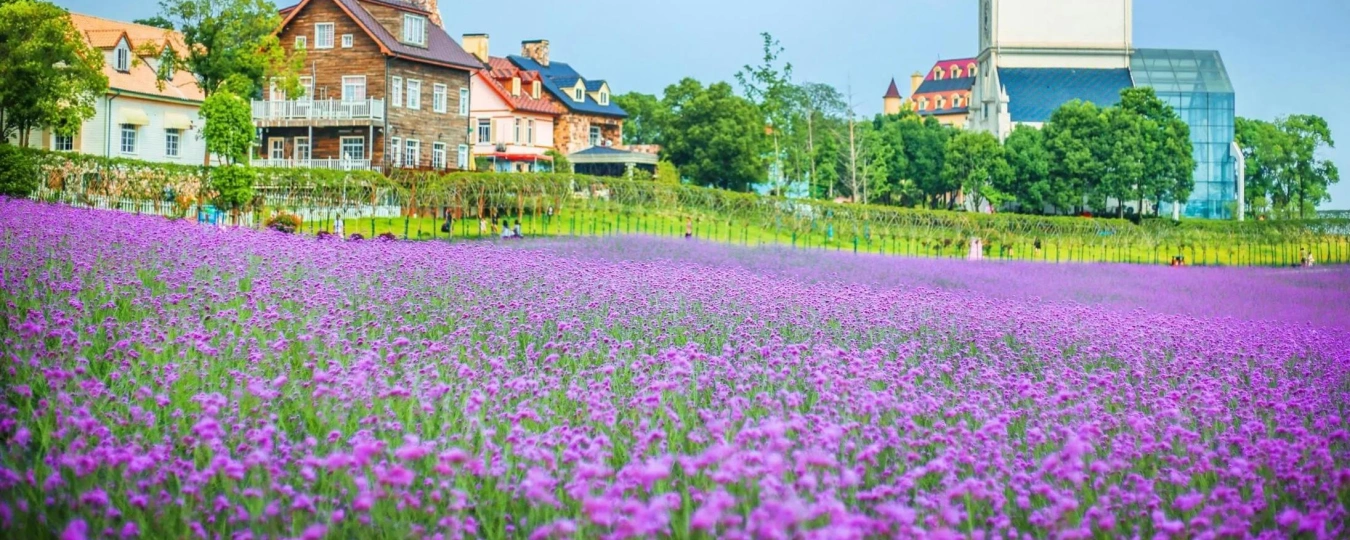 Wuhan Flower Expo Park