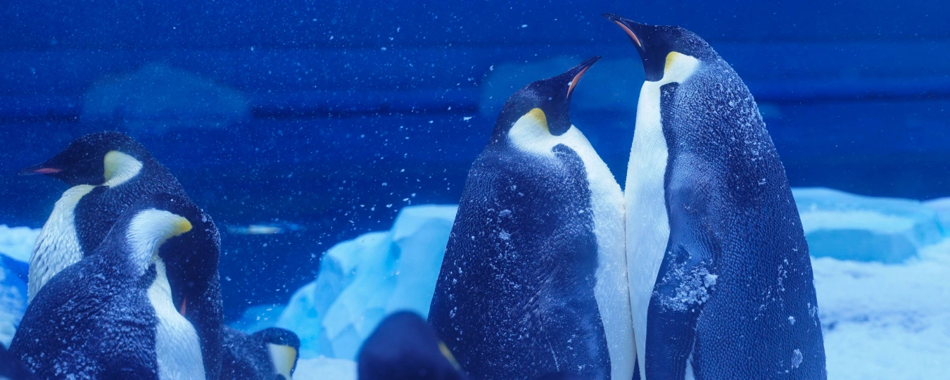 鄭州海昌オーシャンパーク
