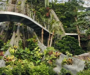 Shanghai-Greenhouse-Garden.webp