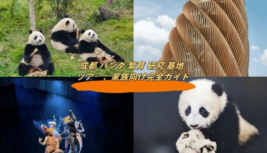 成都 パンダ 繁育 研究 基地 ツアー：家族向け完全ガイド