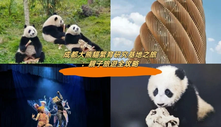 成都大熊貓繁育研究基地之旅：親子旅遊全攻略