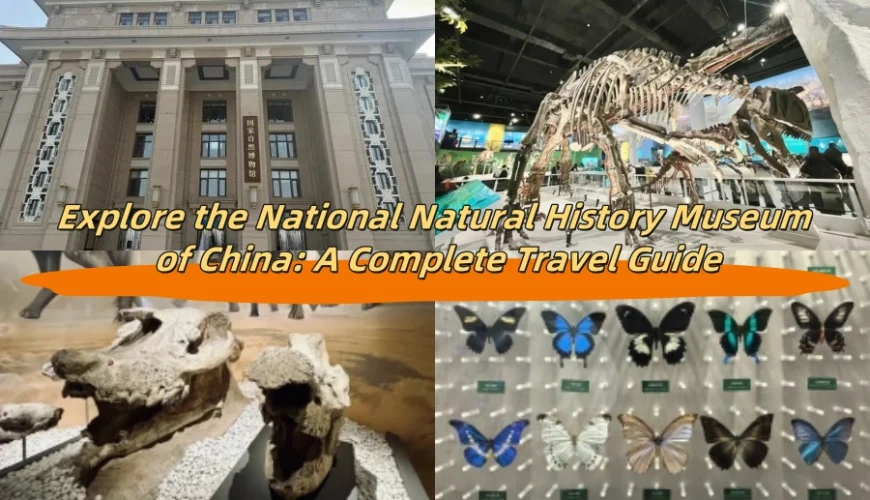 Explore the National Natural History Museum of China: A Complete Travel Guide