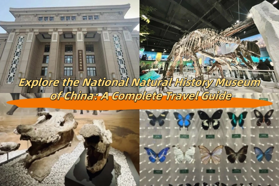 Explore the National Natural History Museum of China: A Complete Travel Guide