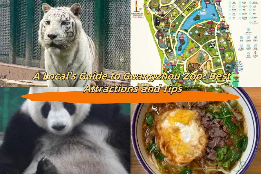 A Local’s Guide to Guangzhou Zoo: Best Attractions and Tips