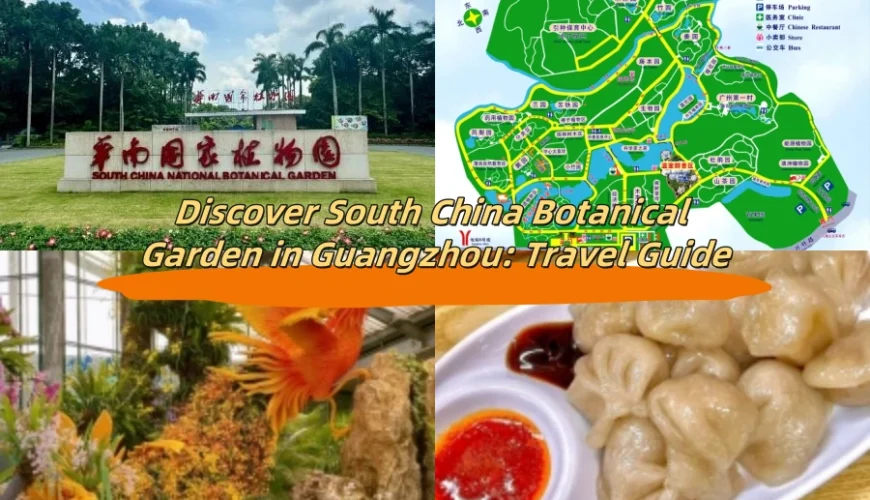 Discover South China Botanical Garden in Guangzhou: Travel Guide