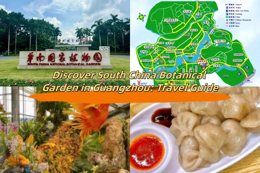 Discover South China Botanical Garden in Guangzhou: Travel Guide