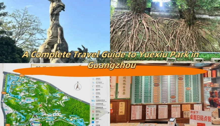 A Complete Travel Guide to Yuexiu Park in Guangzhou