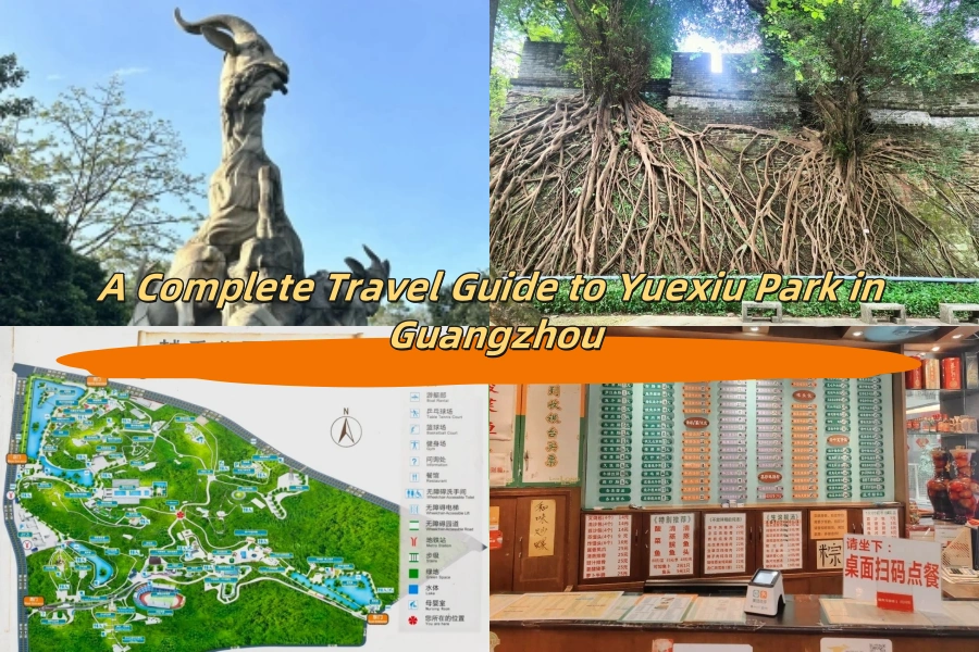 A Complete Travel Guide to Yuexiu Park in Guangzhou