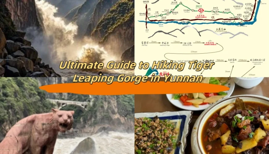 Ultimate Guide to Hiking Tiger Leaping Gorge in Yunnan