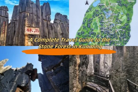 A Complete Travel Guide to the Stone Forest in Kunming