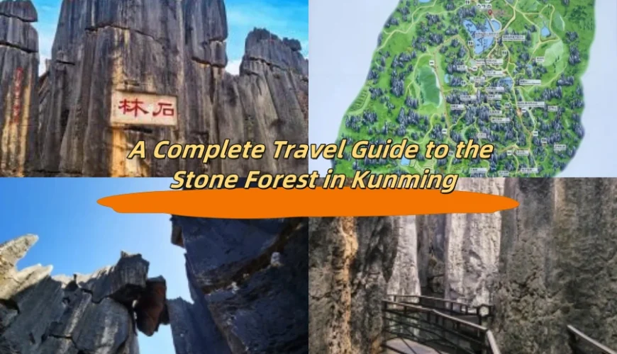 A Complete Travel Guide to the Stone Forest in Kunming