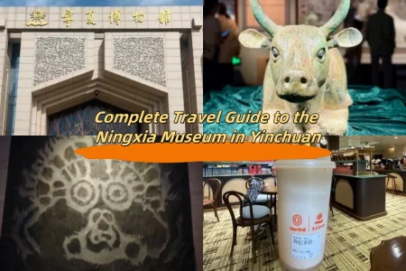 Complete Travel Guide to the Ningxia Museum in Yinchuan