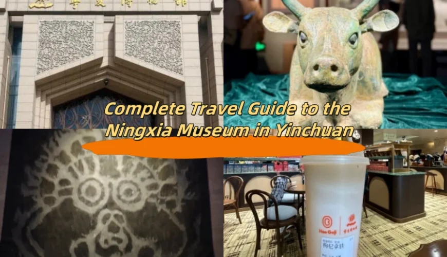 Complete Travel Guide to the Ningxia Museum in Yinchuan