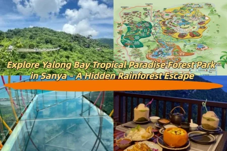 Explore Yalong Bay Tropical Paradise Forest Park in Sanya – A Hidden Rainforest Escape