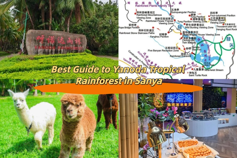 Best Guide to Yanoda Tropical Rainforest in Sanya