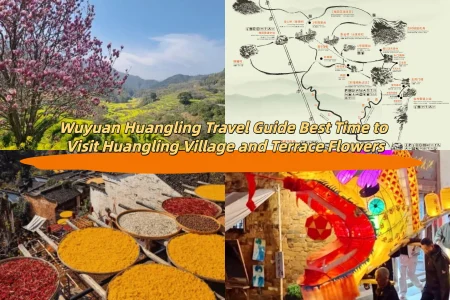 Wuyuan Huangling Travel Guide Best Time to Visit Huangling Village and Terrace Flowers