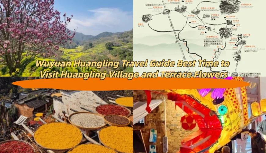 Wuyuan Huangling Travel Guide Best Time to Visit Huangling Village and Terrace Flowers
