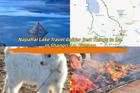 Napahai Lake Travel Guide: Best Things to Do in Shangri-La, Yunnan