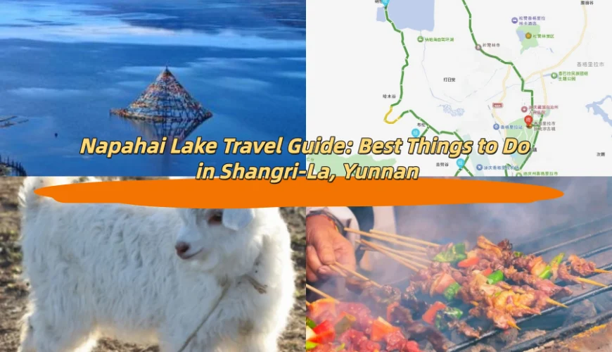 Napahai Lake Travel Guide: Best Things to Do in Shangri-La, Yunnan