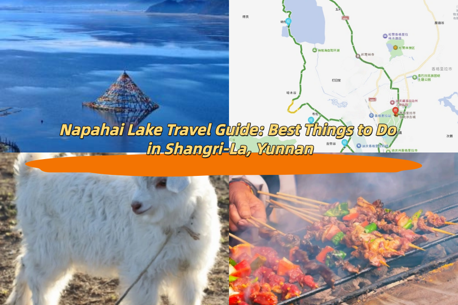 Napahai Lake Travel Guide: Best Things to Do in Shangri-La, Yunnan