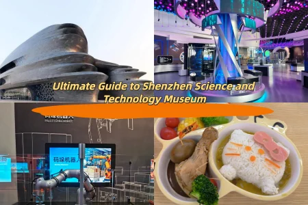 Ultimate Guide to Shenzhen Science and Technology Museum