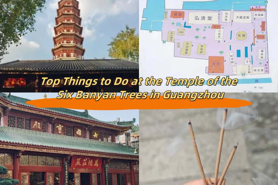 Top Things to Do at the Temple of the Six Banyan Trees in Guangzhou