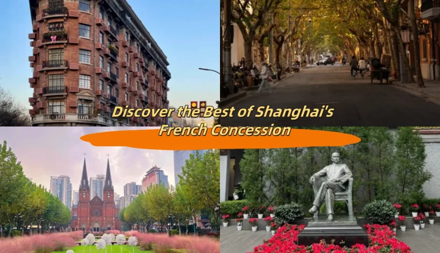 Explore the Shanghai Former French Concession: History and Highlights