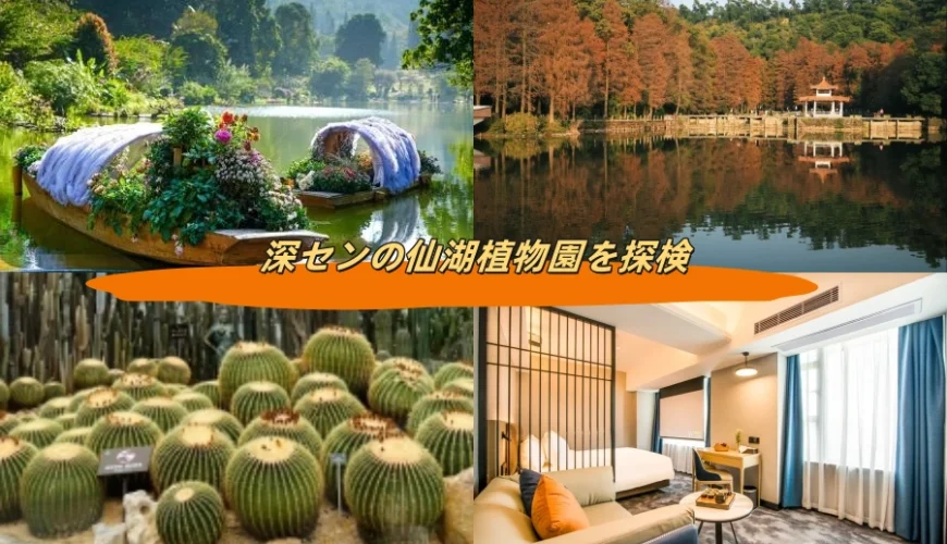 深センの仙湖植物園を探検