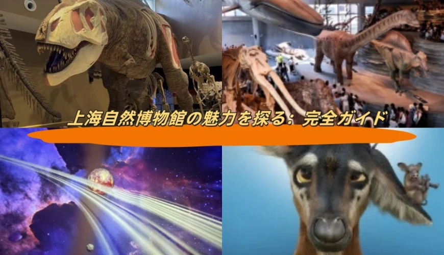 上海自然博物館の魅力を探る：完全ガイド