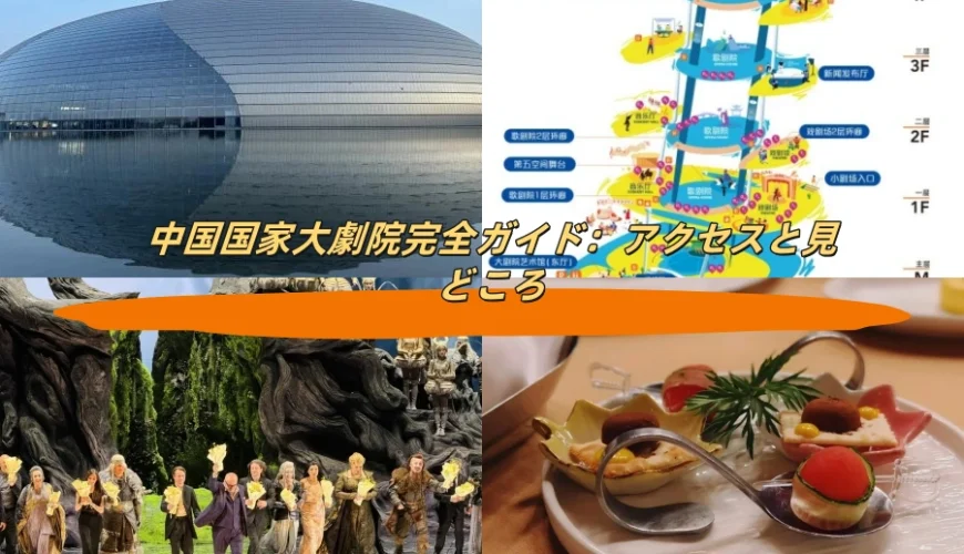 中国国家大劇院完全ガイド：アクセスと見どころ