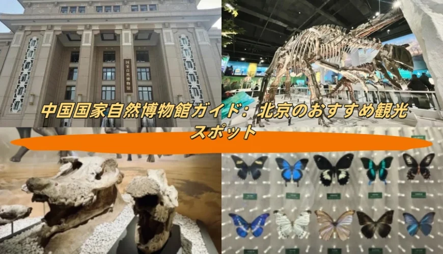 中国国家自然博物館ガイド：北京のおすすめ観光スポット