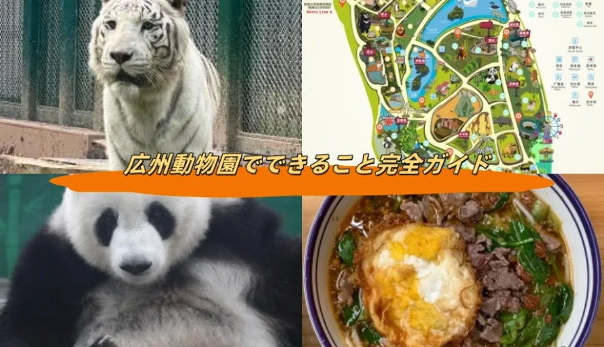広州動物園でできること完全ガイド