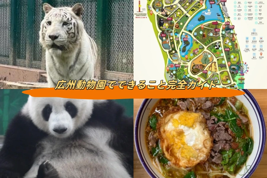 広州動物園でできること完全ガイド