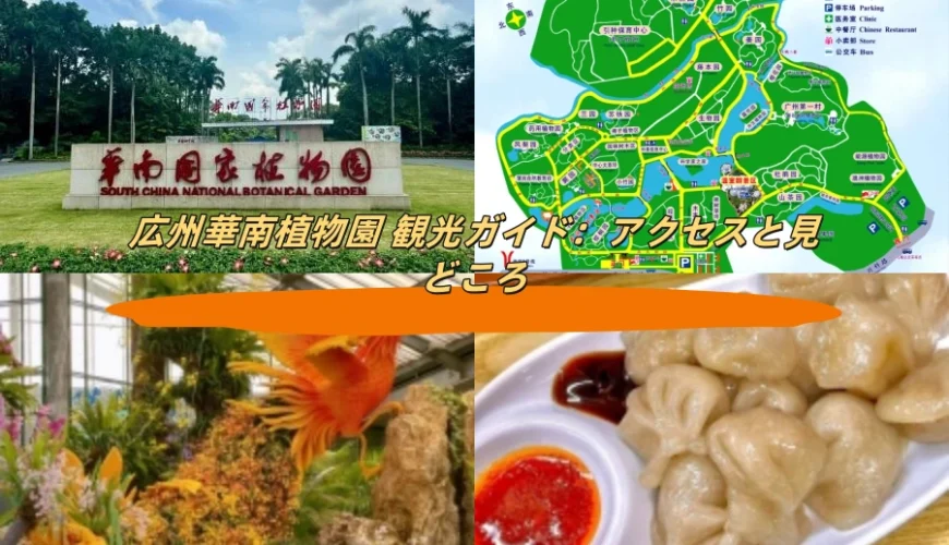 広州華南植物園 観光ガイド：アクセスと見どころ
