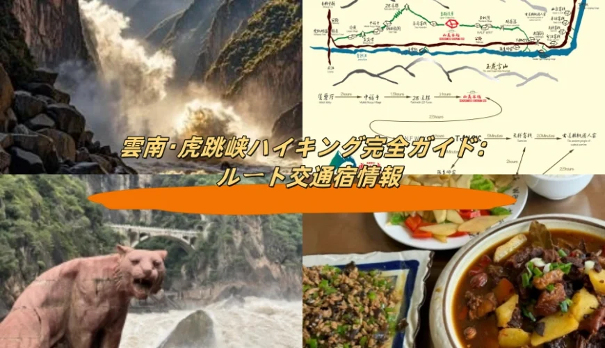 雲南・虎跳峡ハイキング完全ガイド：ルート交通宿情報