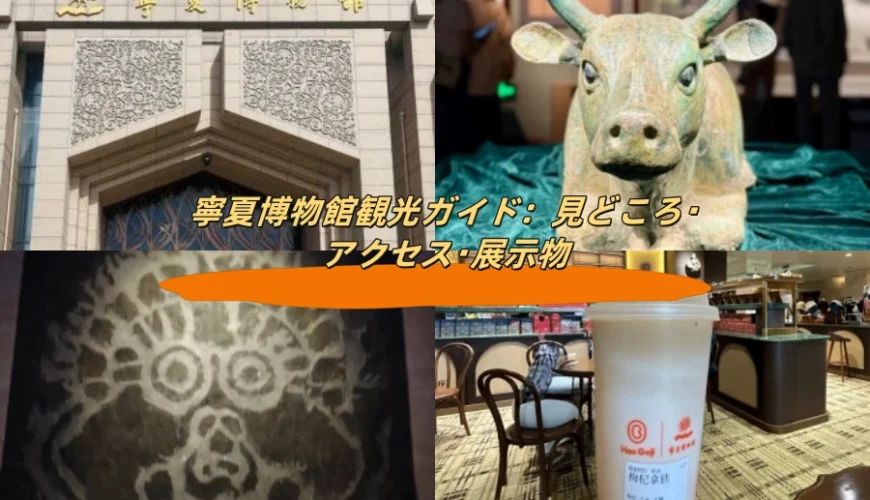 寧夏博物館観光ガイド：見どころ・アクセス・展示物